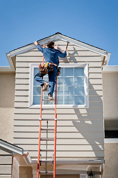 Best Shed Removal  in Earlvle, IL